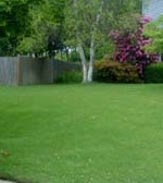 Lawn Care image